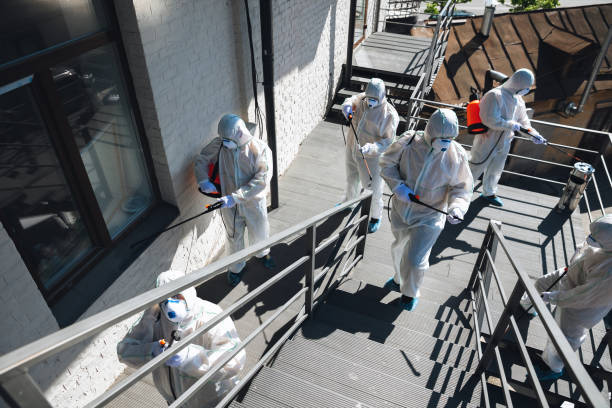 Best Water Damage & Mold Remediation  in Mino Tassajara, CA