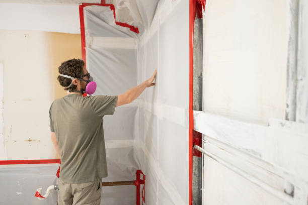 Mold Remediation for Vacation Homes in Camino Tassajara, CA