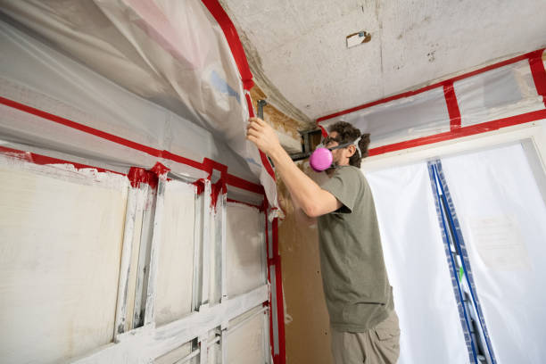 Best Comprehensive Air Testing for Mold Contaminants  in Mino Tassajara, CA