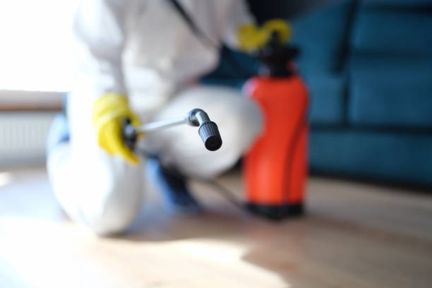 Best Residential Mold Inspection & Testing  in Mino Tassajara, CA
