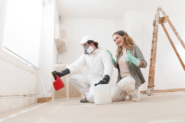 Best Real Estate Mold Inspection  in Mino Tassajara, CA