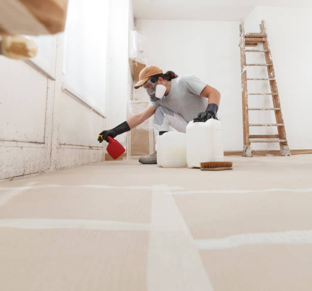 Best Mold Damage Restoration  in Mino Tassajara, CA